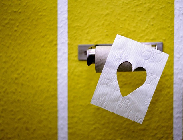 Toiletpapir på en ny måde: Oplev Pressalits innovative toiletpapirholder