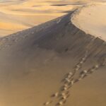 Guide: Ferie med børn uden stress og kaos