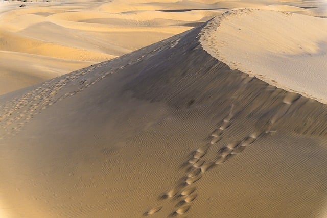 Guide: Ferie med børn uden stress og kaos