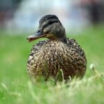 Ord på tværs: 7 genveje til hurtigere krydsordsløsning