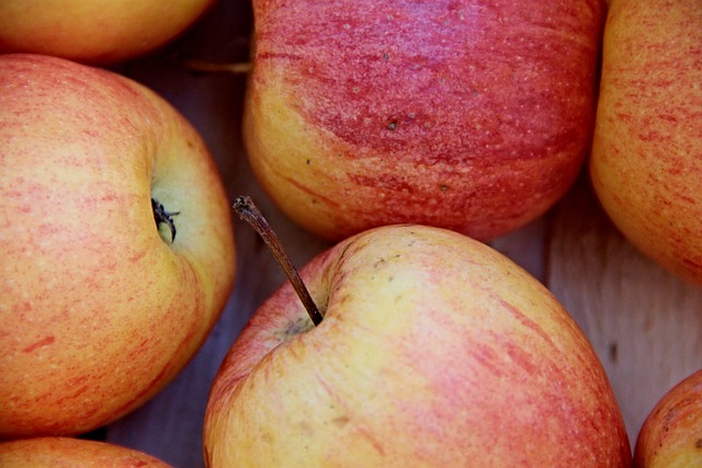 Hvordan æblekasser kan være en bæredygtig løsning til din have